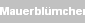 Mauerbl�mchen