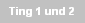 Ting 1 und 2